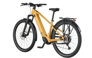 AXIS 20 COLOR GOLD 2026